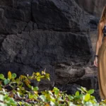 Carve Designs Review